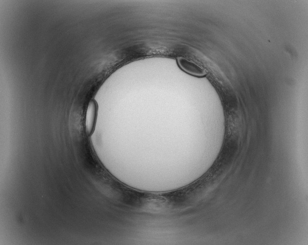 X0000116680215201001041155