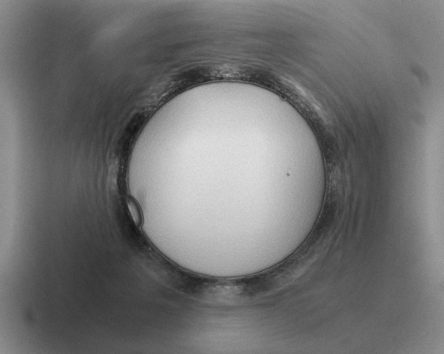 X0000116680217201001041155