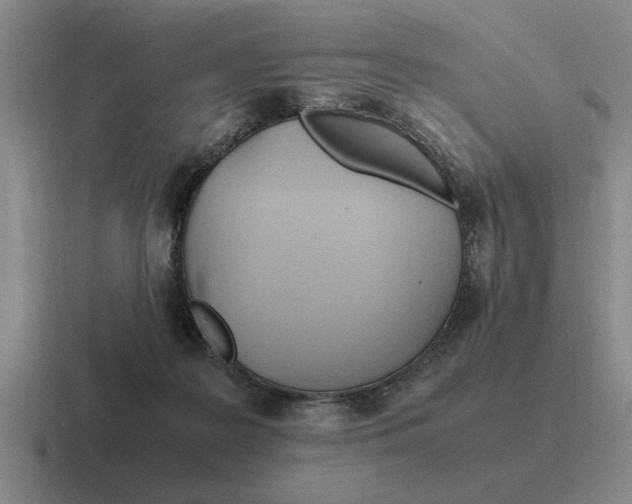 X0000116680219201001041155