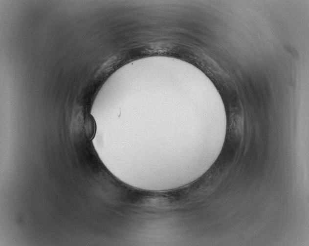 X0000116680220201001041155