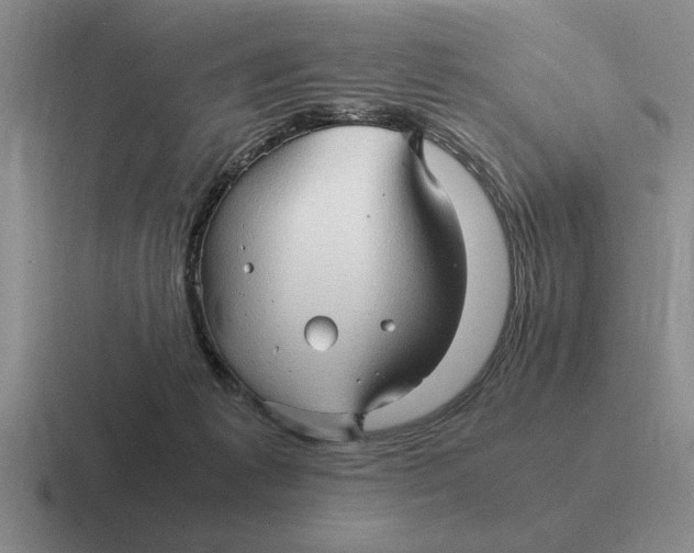 X0000116680221201001041155