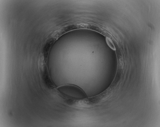 X0000116680223201001041155