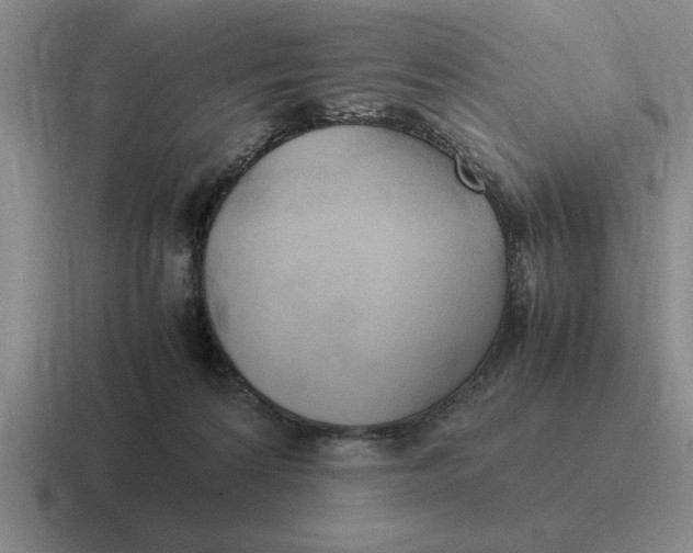 X0000116680224201001041155