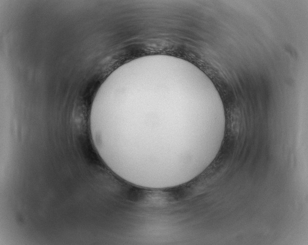 X0000116680226201001041155