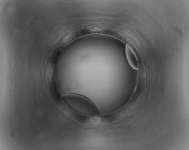 X0000116680227201001041155