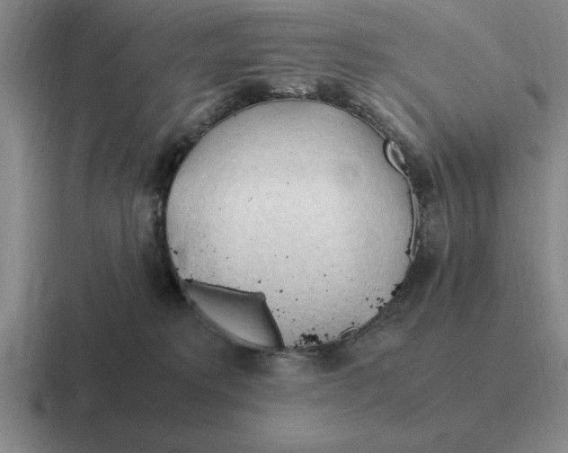 X0000116680229201001041155