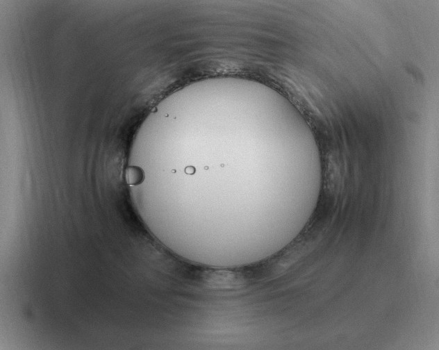 X0000116680230201001041155