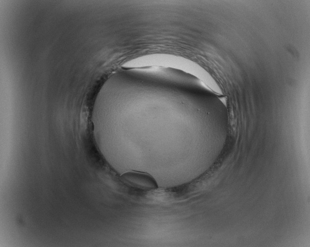 X0000116680231201001041155