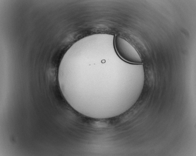 X0000116680232201001041155