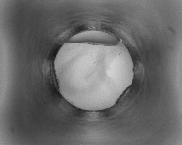 X0000116680233201001041155