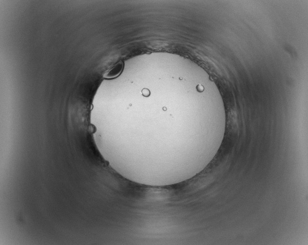 X0000116680234201001041155