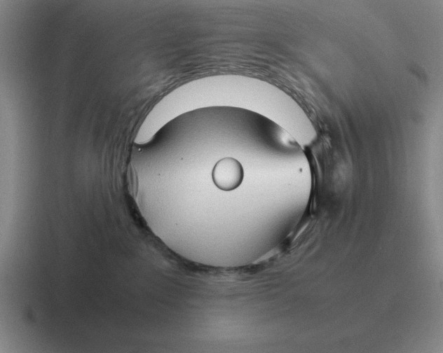 X0000116680235201001041155