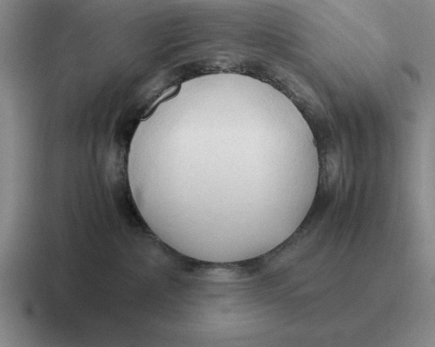 X0000116680236201001041155