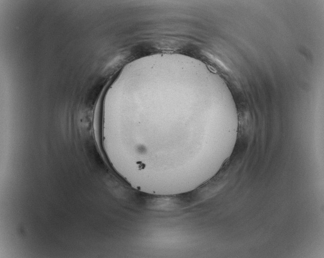 X0000116680237201001041155