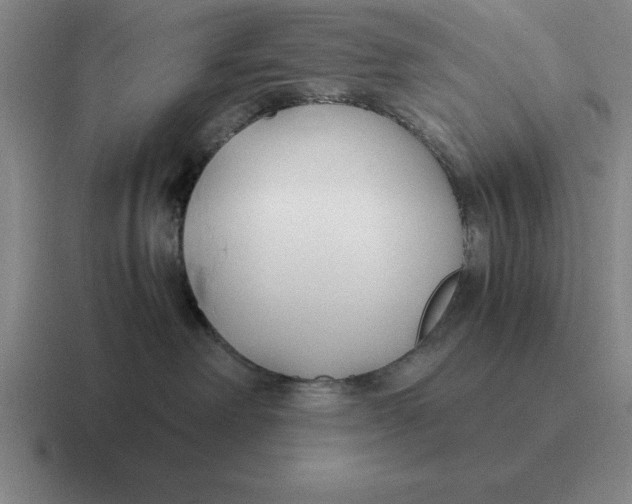 X0000116680238201001041155