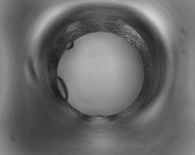 X0000116680239201001041155