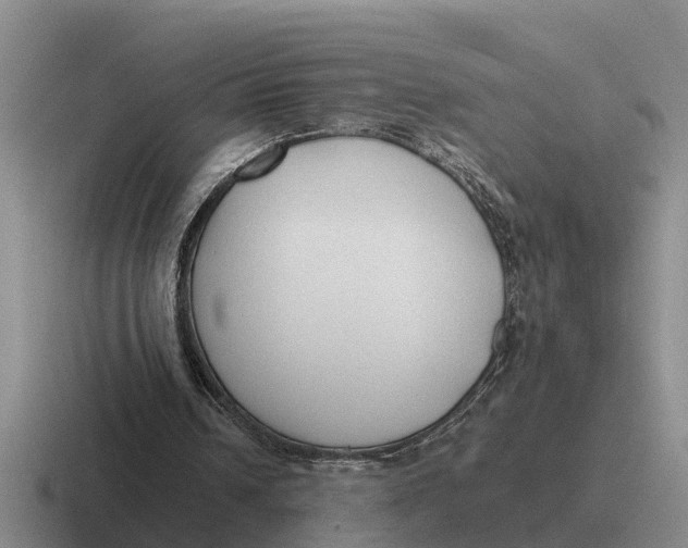 X0000116680242201001041154