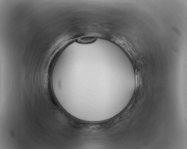 X0000116680243201001041154