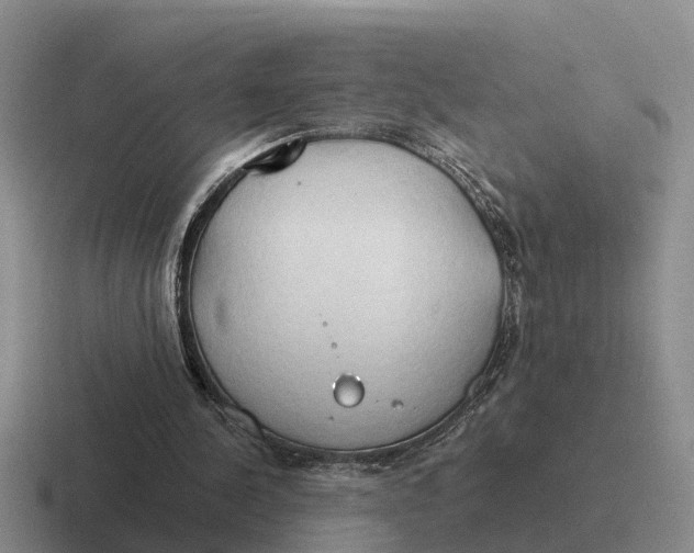 X0000116680244201001041154