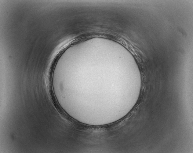 X0000116680245201001041154