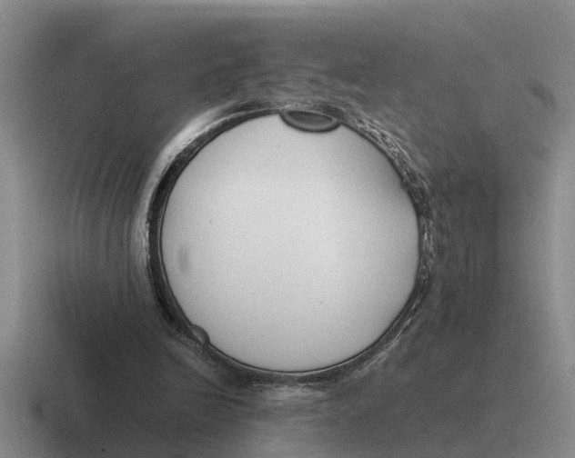 X0000116680246201001041154