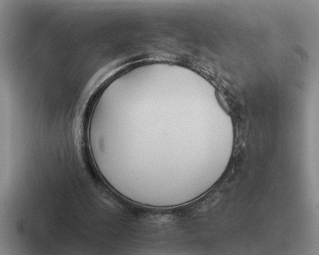 X0000116680247201001041154