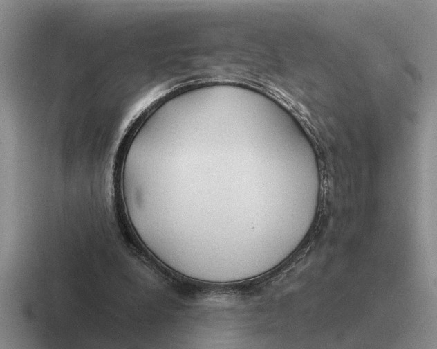 X0000116680248201001041154