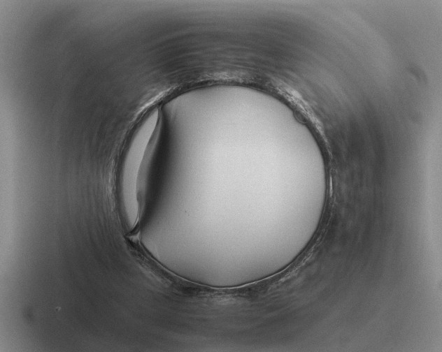 X0000116680249201001041154