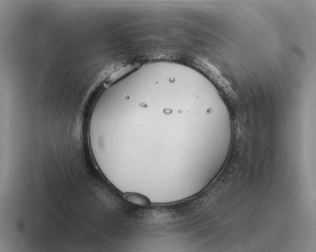 X0000116680250201001041154