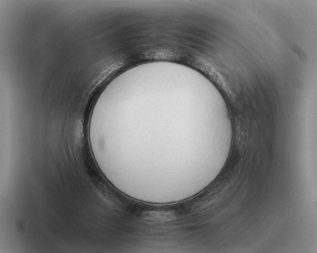 X0000116680251201001041154