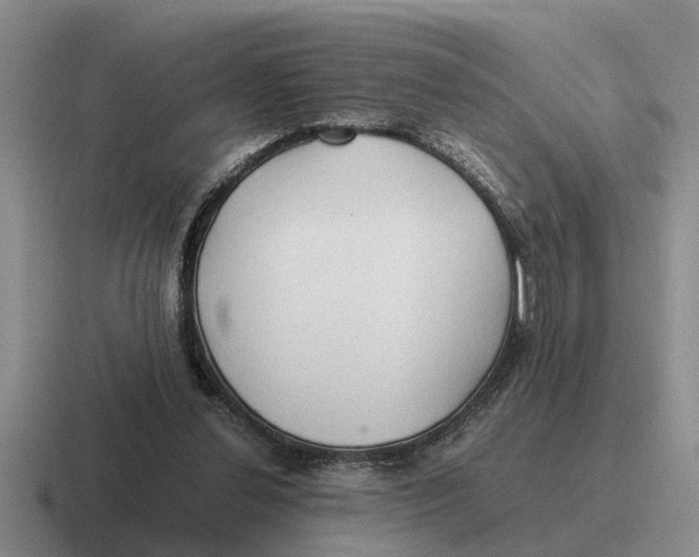 X0000116680252201001041154