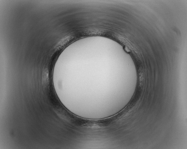 X0000116680254201001041154