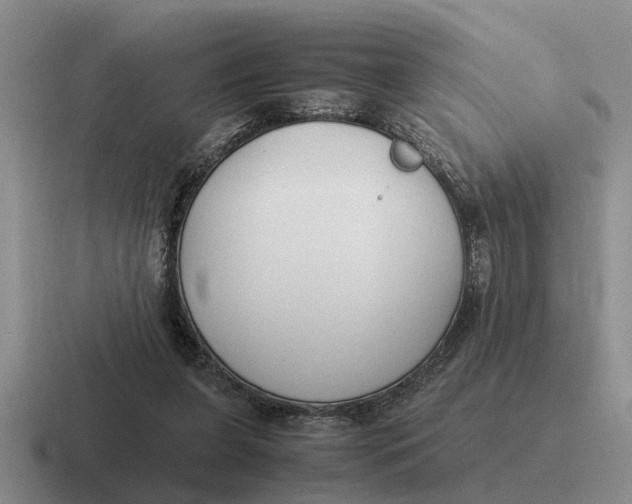 X0000116680255201001041154