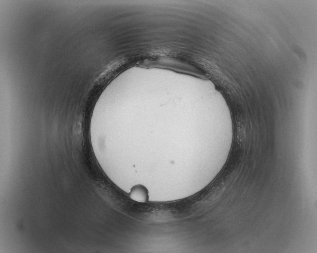 X0000116680256201001041154