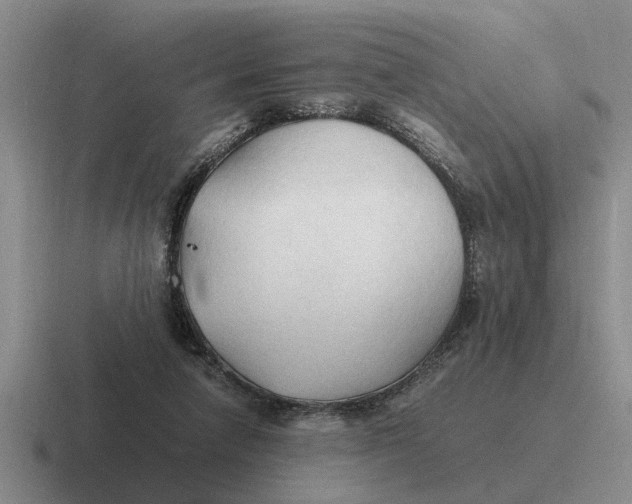 X0000116680258201001041154