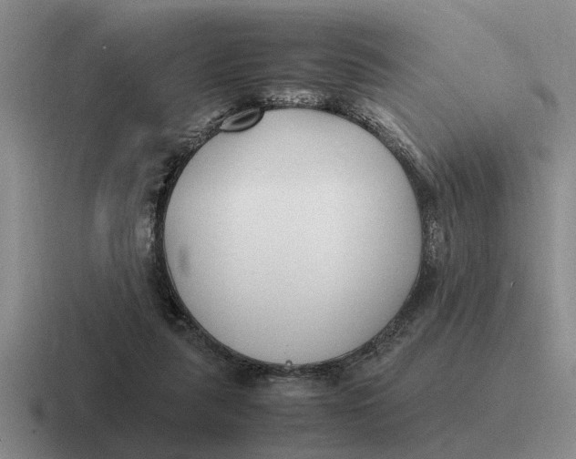 X0000116680259201001041154