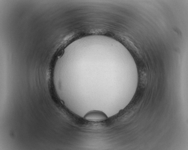 X0000116680260201001041154