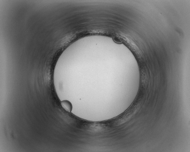 X0000116680261201001041154