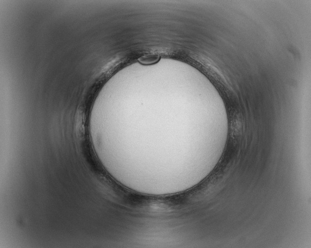 X0000116680264201001041154