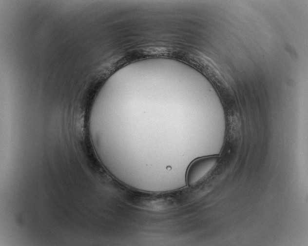 X0000116680267201001041154