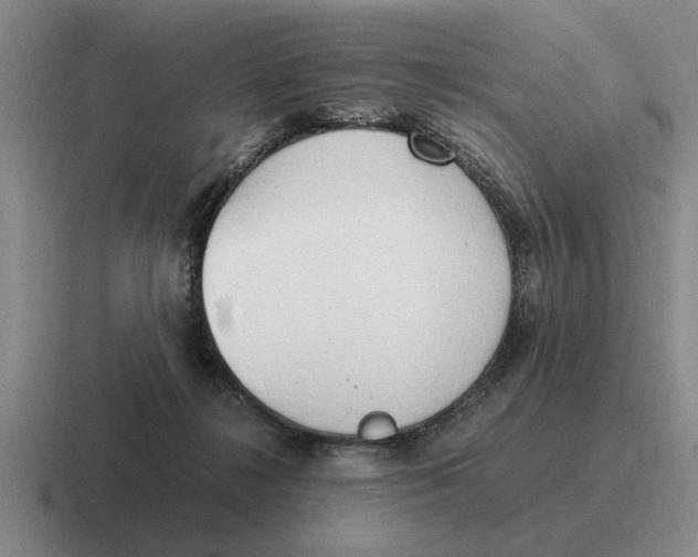 X0000116680268201001041154