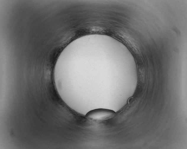 X0000116680269201001041154