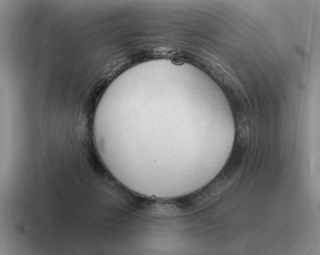 X0000116680270201001041154