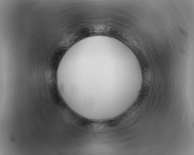 X0000116680272201001041154