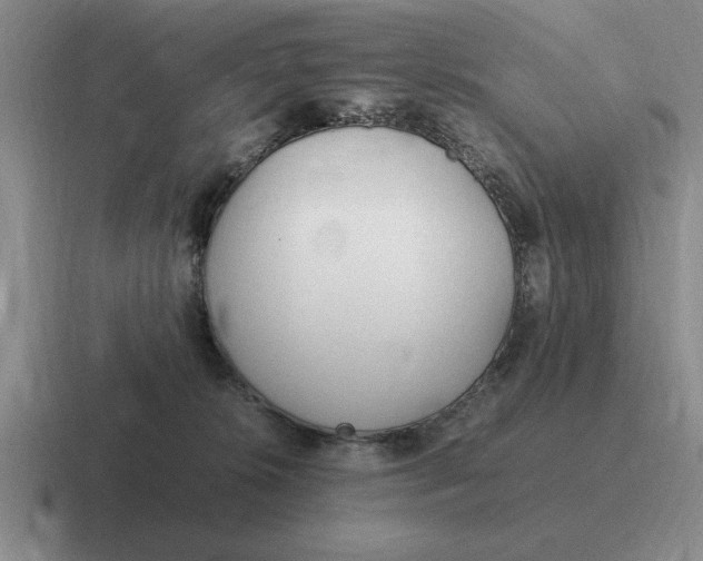 X0000116680276201001041154