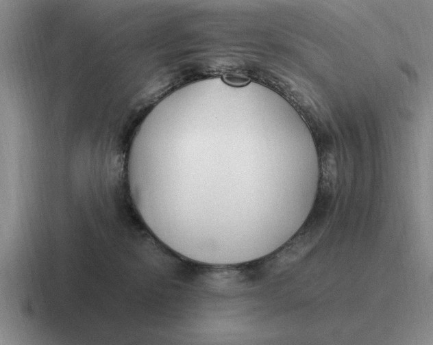 X0000116680278201001041154