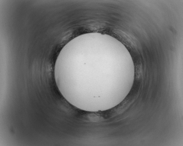 X0000116680279201001041154