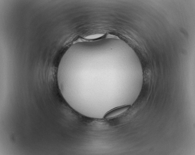 X0000116680280201001041154