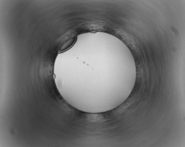 X0000116680281201001041155