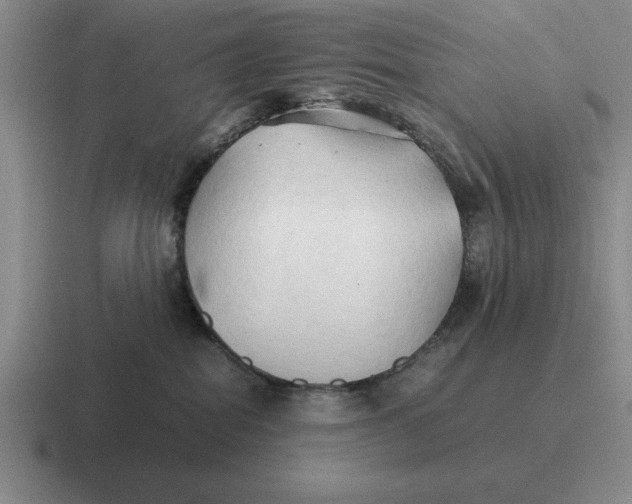 X0000116680282201001041155